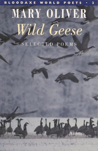 Wild Geese