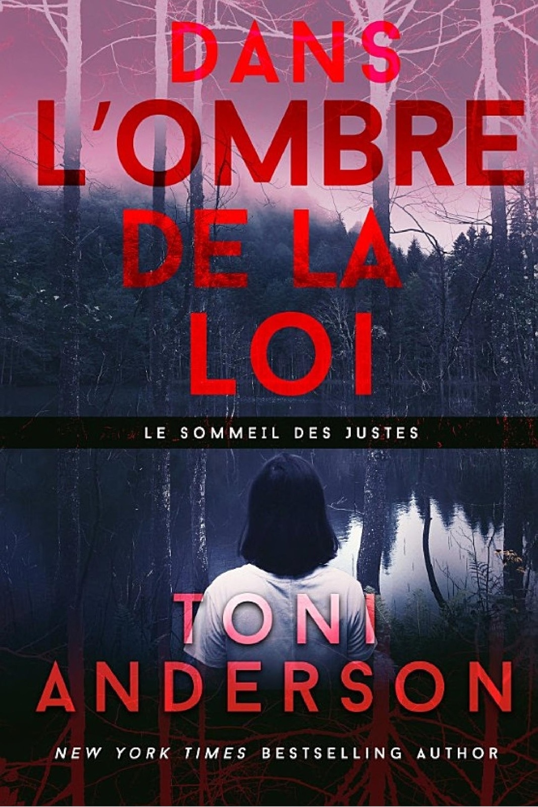 Dans l’ombre de la loi