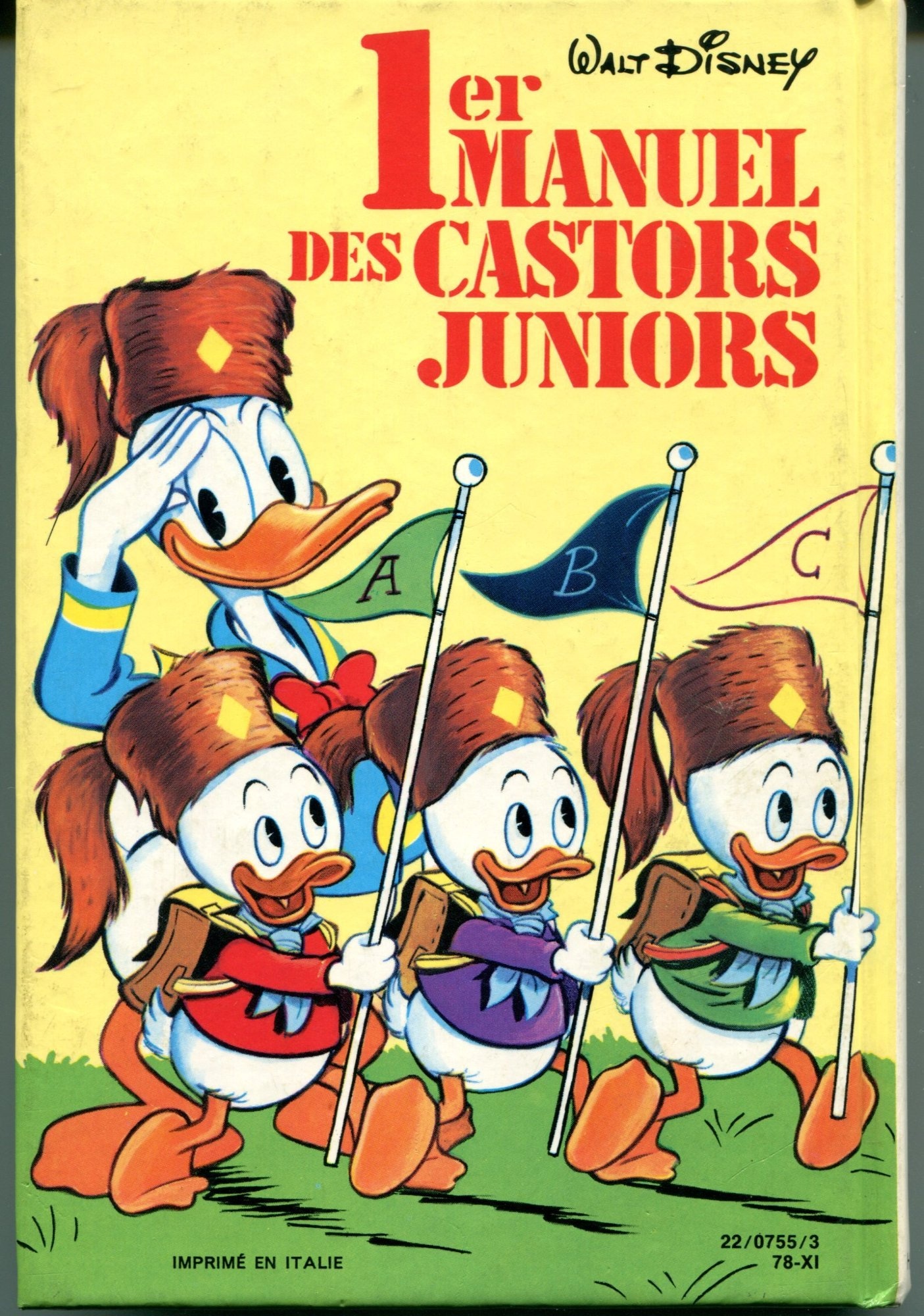 Manuel des castors juniors