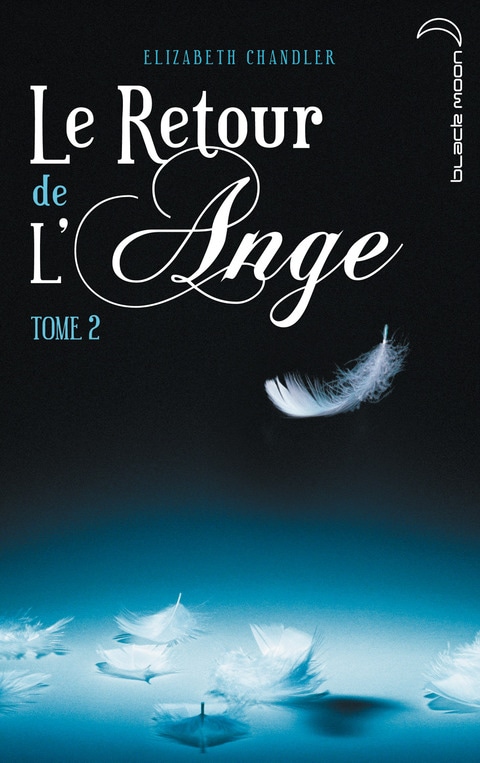 Le Retour de l'ange 2