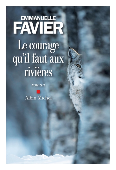 Le Courage qu'il faut aux rivières