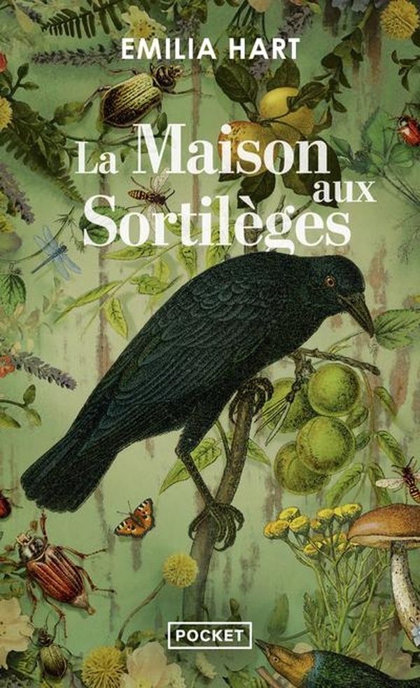 La maison aux sortilèges