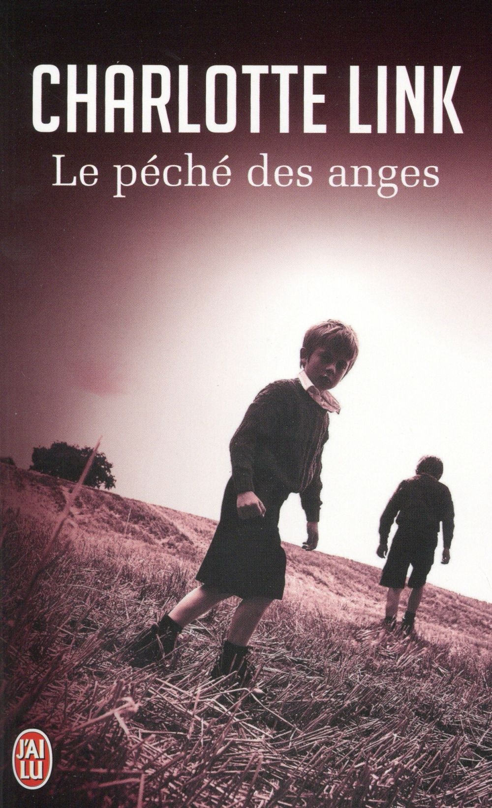 Le péché des anges