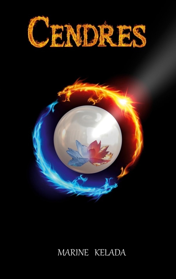 Cendres (French Edition)