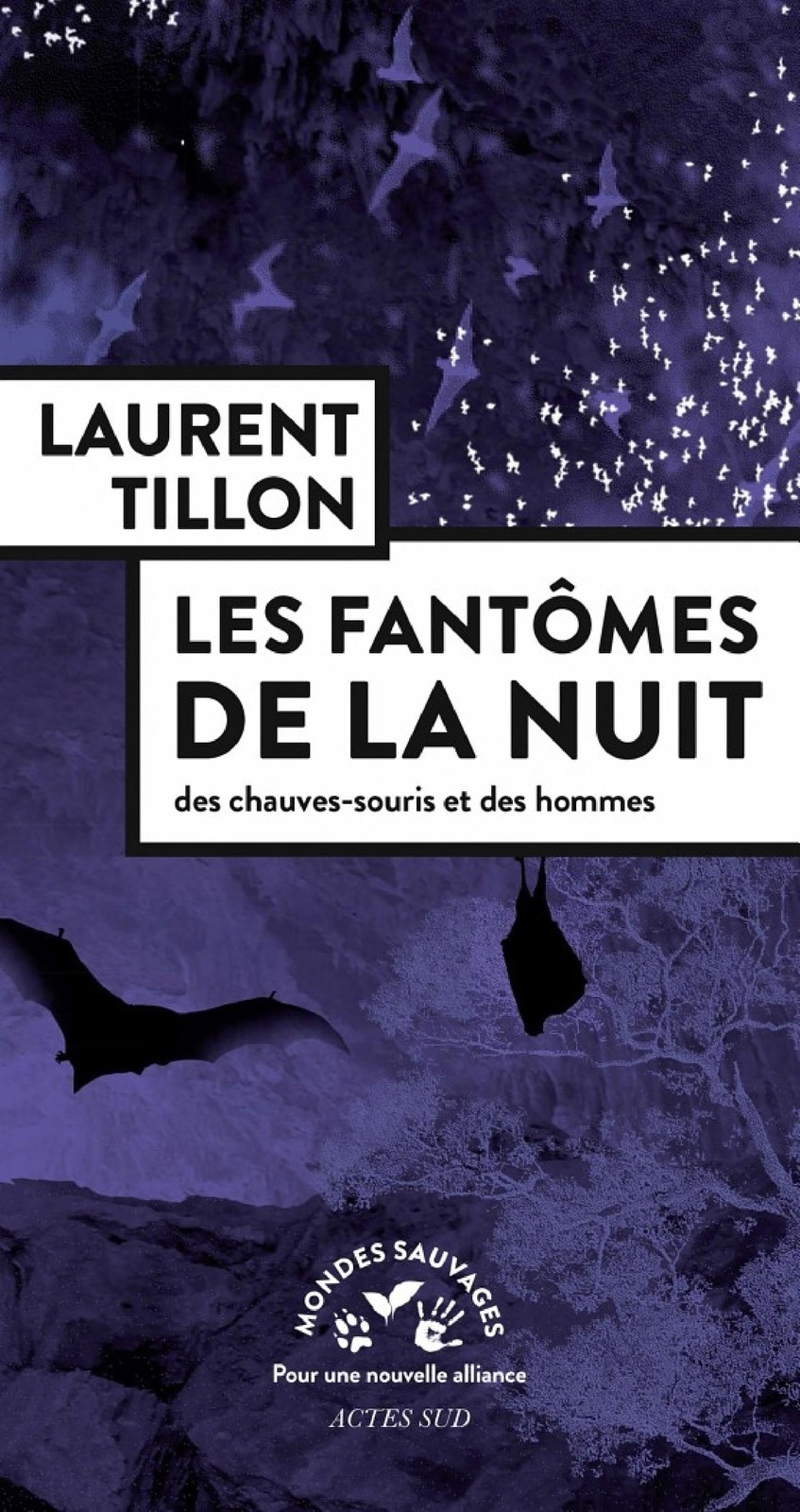 Les Fantômes de la nuit