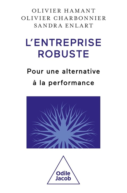 L' Entreprise robuste