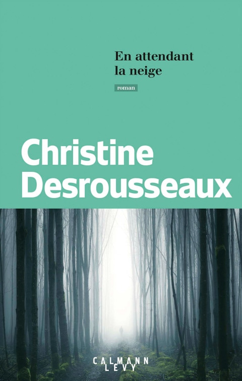 En attendant la neige