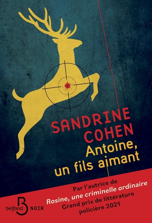 Antoine, un fils aimant - Après Rosine, une criminelle ordinaire, découvrez le nouveau roman de Sandrine Cohen