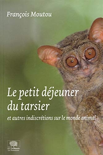 Le petit-déjeuner du tarsier
