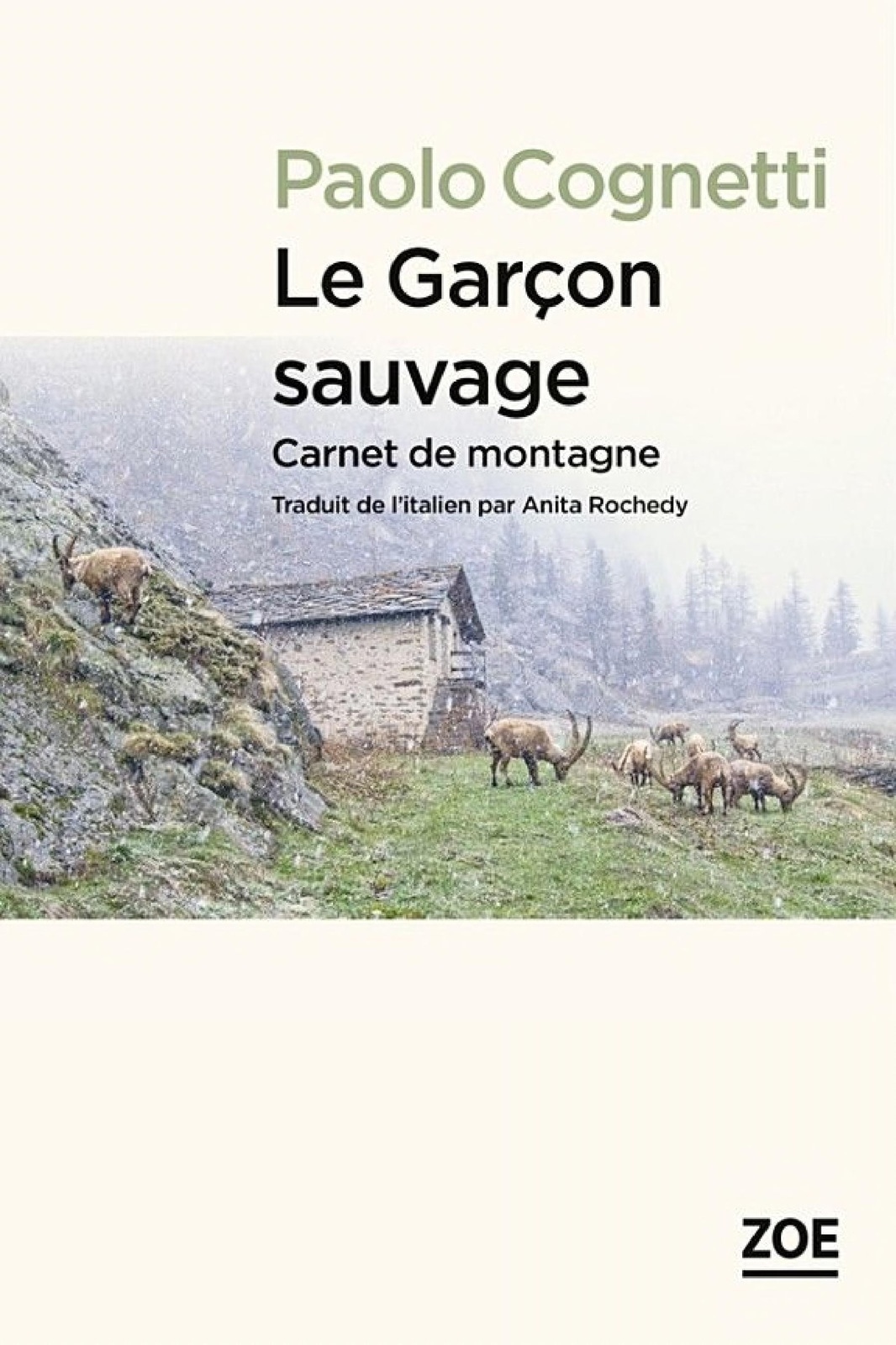Le Garçon sauvage