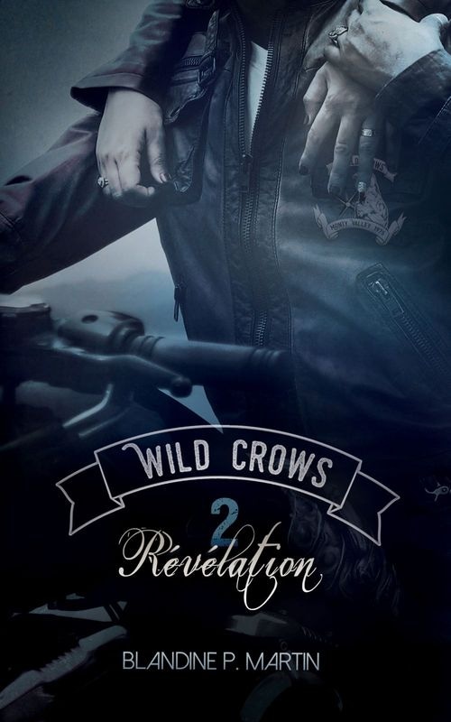 Wild Crows - 2. Révélation