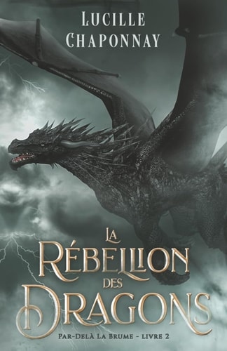 La Rébellion Des Dragons