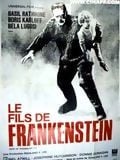 Le Fils de Frankenstein