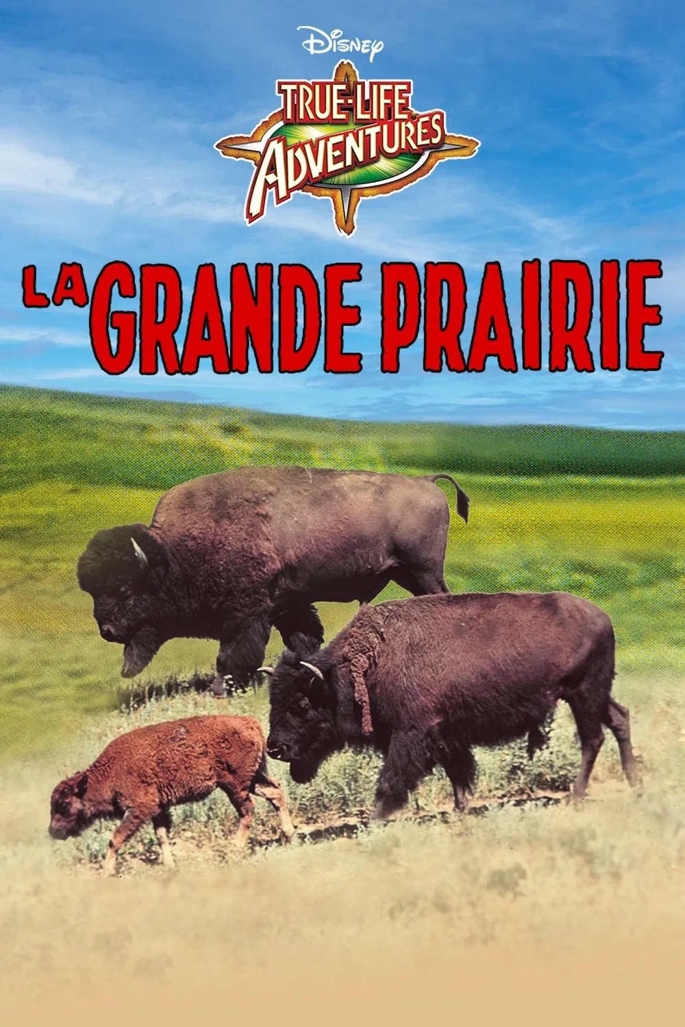 La Grande Prairie