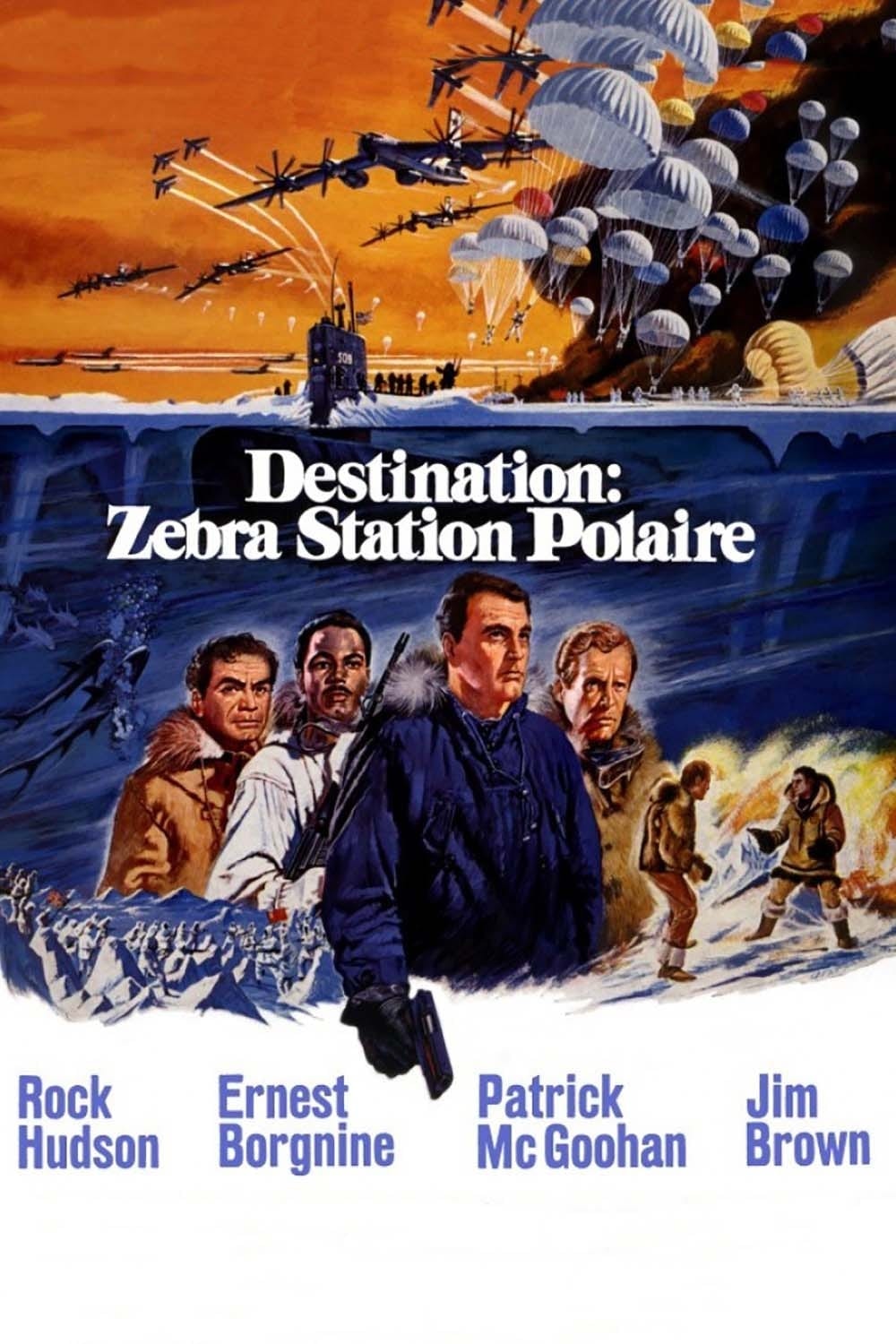 Destination Zebra, station polaire