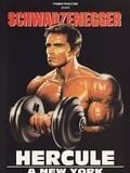 Hercule à New York
