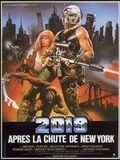 2019 après la chute de New York