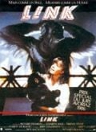Link