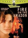 Fire on the Amazon