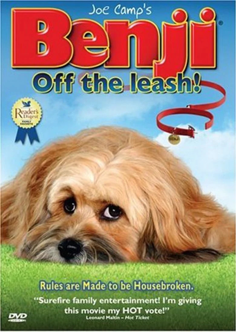 Benji: off the leash !