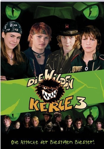 Die Wilden Kerle 3