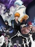 Bleach : The DiamondDust Rebellion