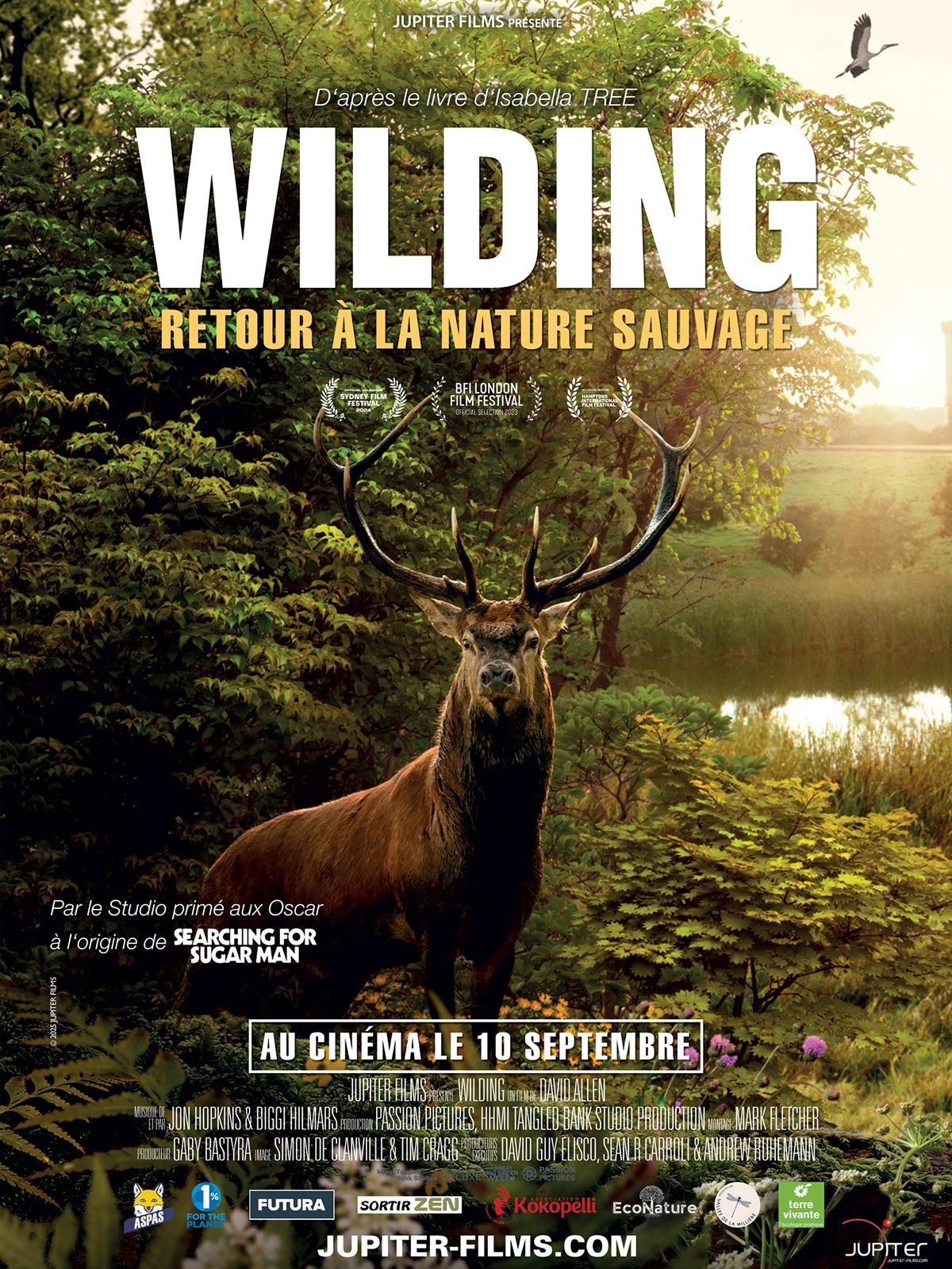 Wilding, Retour à la Nature Sauvage