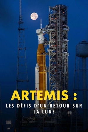 Artemis : les défis d'un retour sur la Lune